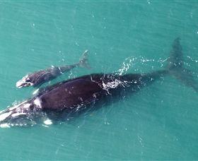 Fazshot Photography - Maitland Accommodation 0