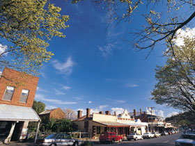 Drysdale Cheeses - Maitland Accommodation 1