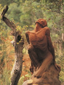 Drysdale Cheeses - Maitland Accommodation 10