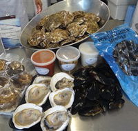 Advance Mussel Supply - Maitland Accommodation
