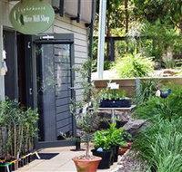 The Lighthouse Olive Mill Shop - Maitland Accommodation