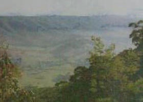 Mount Granya State Park - Maitland Accommodation 0