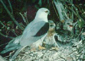 Bushy Park Wetlands - Maitland Accommodation 0