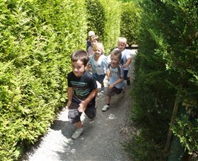 Hedgend Maze And Healesville Laser Sport - Maitland Accommodation 1