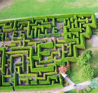 Hedgend Maze and Healesville Laser Sport - Maitland Accommodation