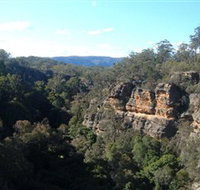 Ferntree Gully Reserve - Maitland Accommodation