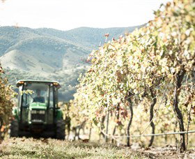 Logan Wines - Maitland Accommodation 5