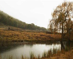 Logan Wines - Maitland Accommodation 6