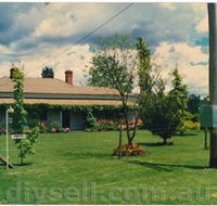 Tumut Valley Violets - Maitland Accommodation