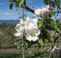 Mouat's Farm - Maitland Accommodation