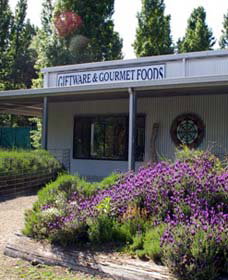 Crisp Galleries - Maitland Accommodation 0