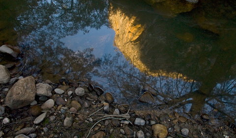 Abercrombie Karst Conservation Reserve - Maitland Accommodation 0