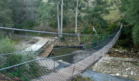 Abercrombie Karst Conservation Reserve - Maitland Accommodation 1
