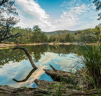 Warrabah National Park - Maitland Accommodation