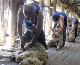The Woolshed At Jondaryan - Maitland Accommodation 1