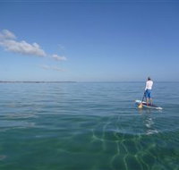 Peninsula Stand Up Paddle - Maitland Accommodation