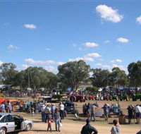 Quirindi Rural Heritage Village - Maitland Accommodation