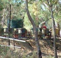 7 Oaks Sapphire Fossicking - Maitland Accommodation