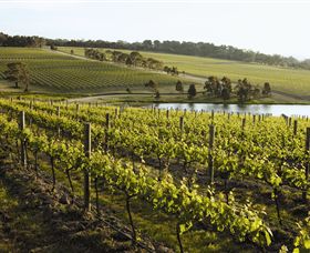 Yabby Lake Vineyard & Cellar Door - Maitland Accommodation 7