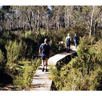 Hume and Hovell Walking Track - Henry Angel Trackhead - Maitland Accommodation