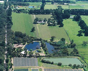 Ten Minutes By Tractor - Maitland Accommodation 2