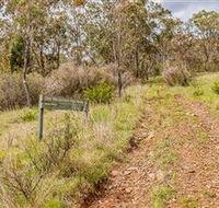 Old Mountain Road Walking Track - Maitland Accommodation
