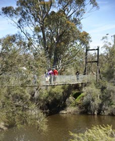 Avon Park - Maitland Accommodation 0