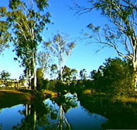 Dingo Creek Park - Maitland Accommodation