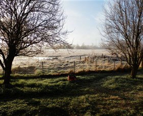 Jannei Artisan Cheese Makers - Maitland Accommodation 2