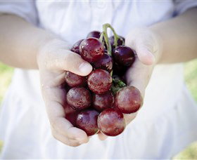 Granitevale  Estate Winery - Maitland Accommodation 0