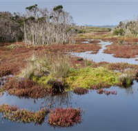 French Island National Park - Maitland Accommodation