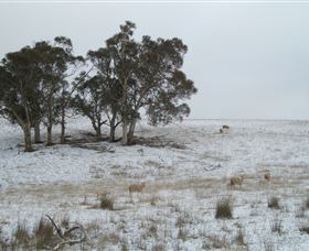 Crookwell Wind Farm - Maitland Accommodation 2