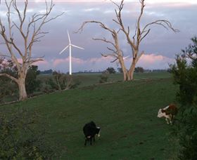 Crookwell Wind Farm - Maitland Accommodation 1