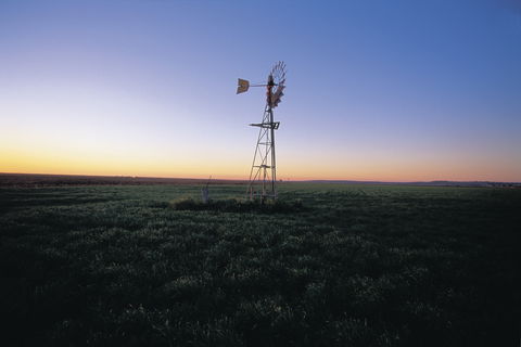 Lions Park Hodgsonvale - Maitland Accommodation 0