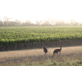  Maitland Accommodation