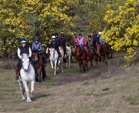 Burnelee Excursions On Horseback - Maitland Accommodation 0