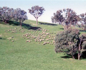 Burnelee Excursions On Horseback - Maitland Accommodation 2