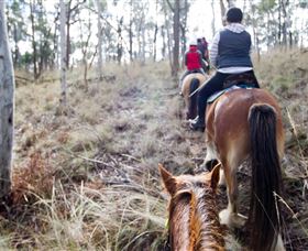 Burnelee Excursions On Horseback - Maitland Accommodation 1