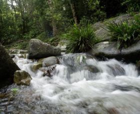 Washpool National Park - Maitland Accommodation 0