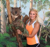 Maru Koala and Animal Park - Maitland Accommodation