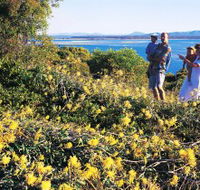 Joseph Banks Conservation Park - Maitland Accommodation