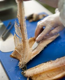 Arc-en-Ciel Trout Farm - Maitland Accommodation 2