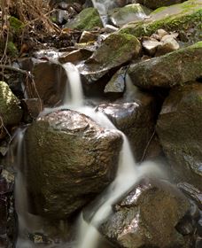 Arc-en-Ciel Trout Farm - Maitland Accommodation 1