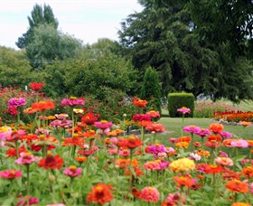 Alma Park - Maitland Accommodation 0