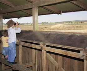 Dangars Lagoon And Racecourse Lagoon - Maitland Accommodation 0