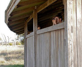 Dangars Lagoon And Racecourse Lagoon - Maitland Accommodation 2