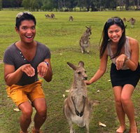 Runaway Tours - Maitland Accommodation
