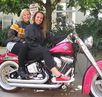 Wild Ride Harley and Motorcycle Tours - Maitland Accommodation