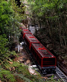 Andersons Tours - Maitland Accommodation 1