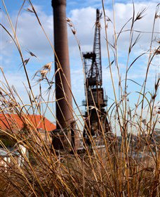 Click Walk Learn Photography Tours - Maitland Accommodation 2